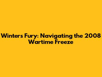 Winter's Fury: Navigating the 2008 Wartime Freeze