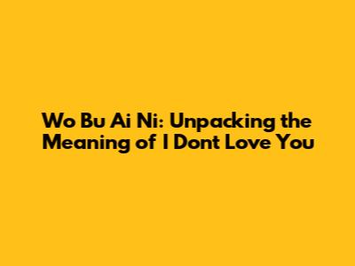 Wo Bu Ai Ni: Unpacking the Meaning of "I Don't Love You"