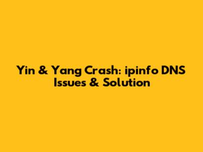 Yin & Yang Crash: ipinfo DNS Issues & Solution