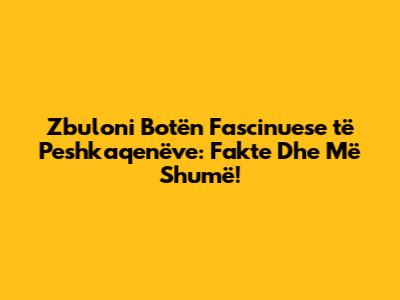 Zbuloni Botën Fascinuese të Peshkaqenëve: Fakte Dhe Më Shumë!