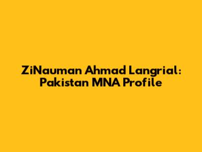 ZiNauman Ahmad Langrial: Pakistan MNA Profile